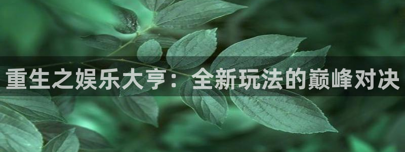 门徒平台登录地址