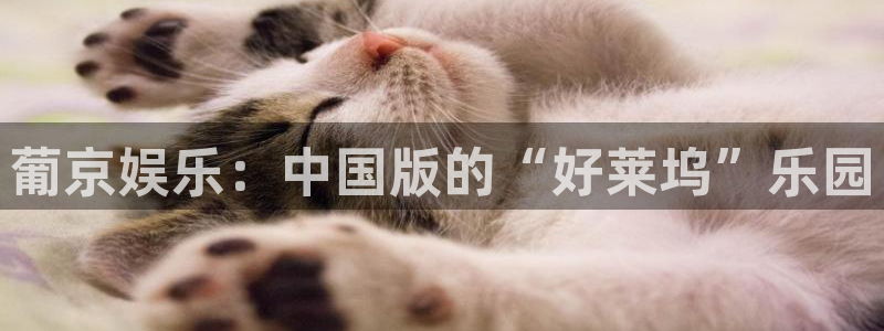 门徒平台登录地址