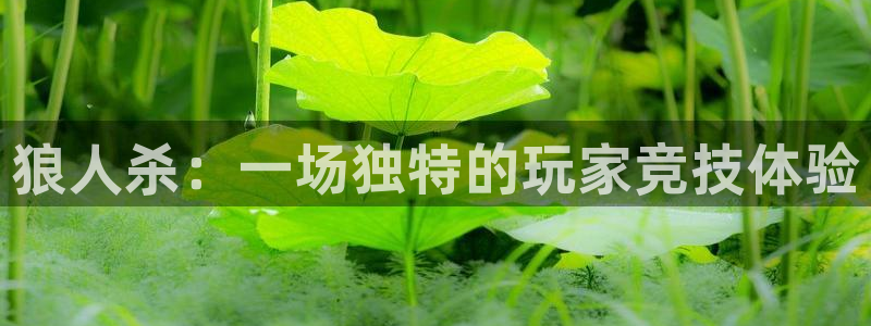 门徒娱乐