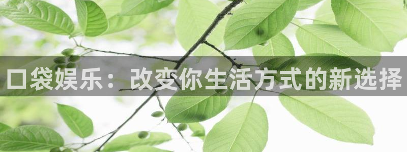 门徒平台登录入口官网注册