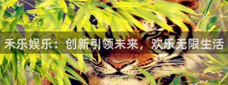 门徒平台注册