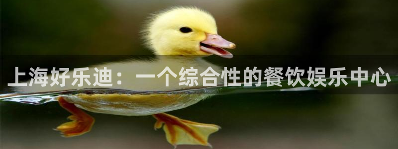 门徒娱乐官方平台入口