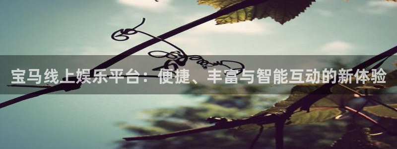 门徒平台注册